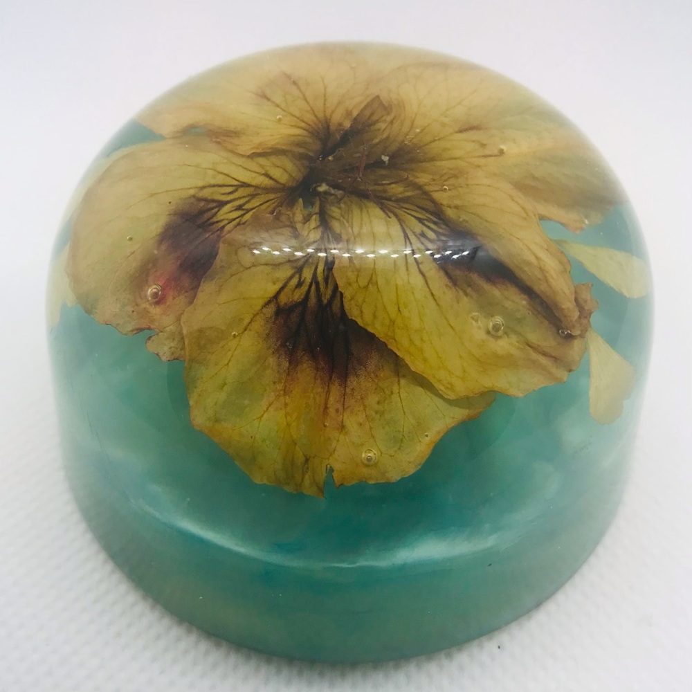 Paperweight - Picture 3 of 5